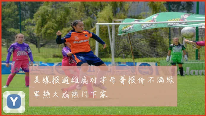 美媒报道雄鹿对字母哥报价不满绿军热火成热门下家