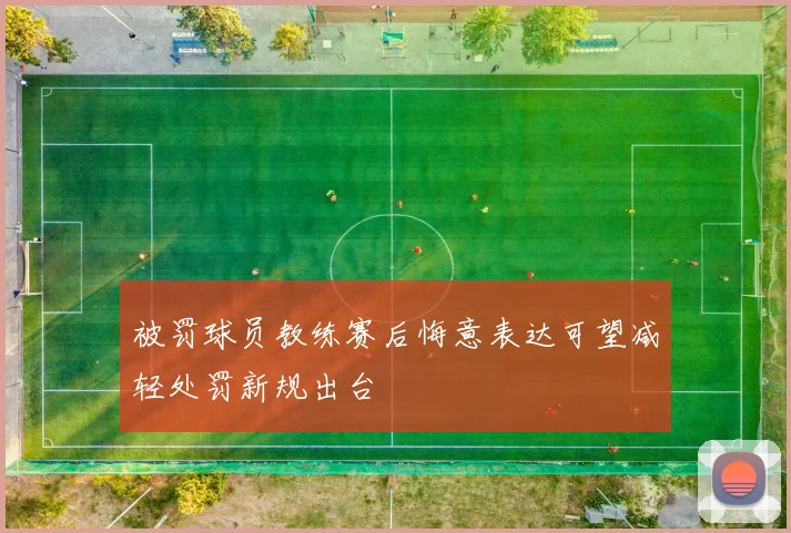被罚球员教练赛后悔意表达可望减轻处罚新规出台